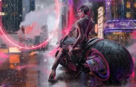 《影子战士》——超级刺激的不收费忍者PC游戏主推 影子战士书籍